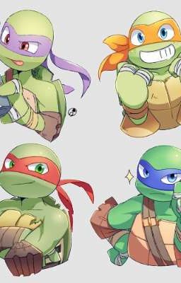 TMNT 2012/2014/2016 Roleplay