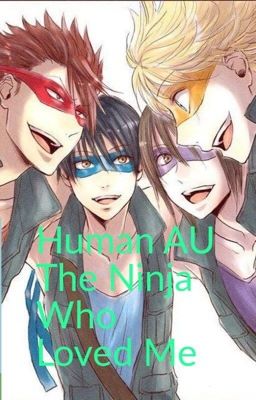 TMNT 2012 Human AU: The Ninja who Loved Me