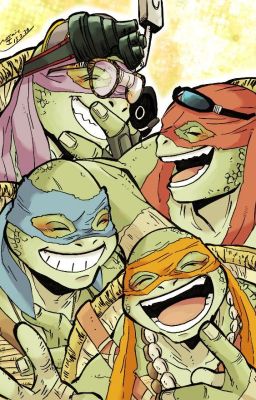 TMNT (2014) Movie Rewrite