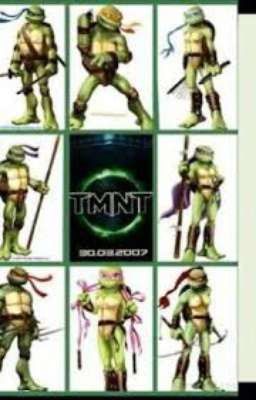 TMNT and TMNT Girls One-shots 