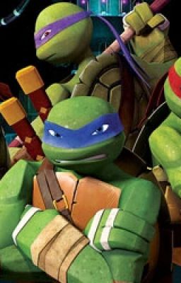 TMNT Boyfriend scenarios