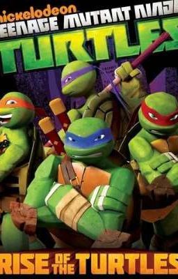 TMNT Donatello Raphael Michelangelo Leonardo x Ninja Reader