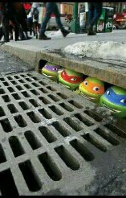 Tmnt    Los Protectores