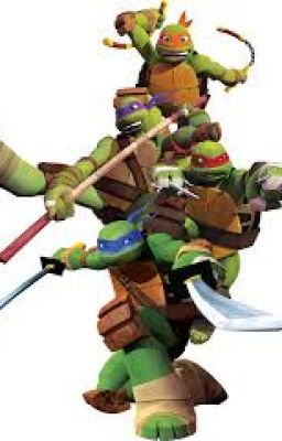 TMNT Our story of meeting the turtles-Part 2