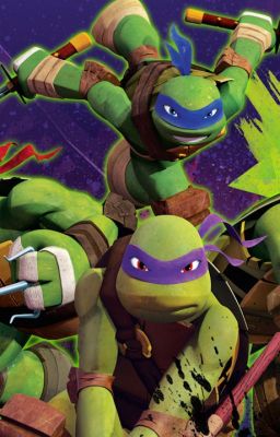 TMNT Q & D [CLOSED]