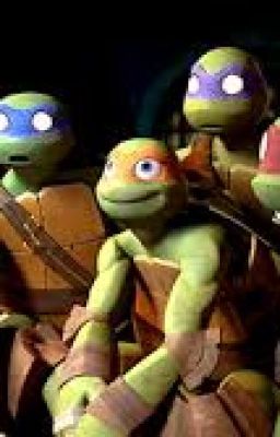 TMNT The reversed of Turtle Toddlers version