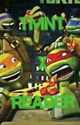 Tmnt x reader