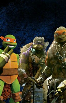 Tmnt x reader Love Story (Book 2)