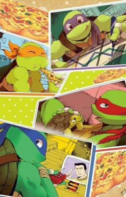 tmnt x reader scenarios