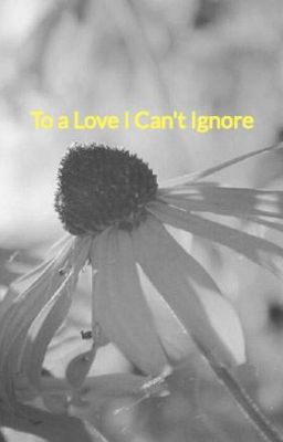 To a Love I Can't Ignore