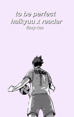 To Be Perfect | Haikyuu!! x reader ON HOLD