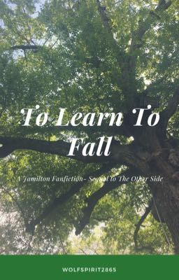 To Learn To Fall (Sequel to the Other Side)