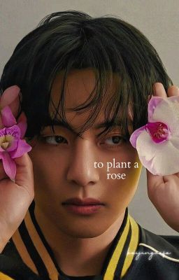 to plant a rose. → kth