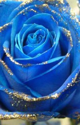 to write love on her arms