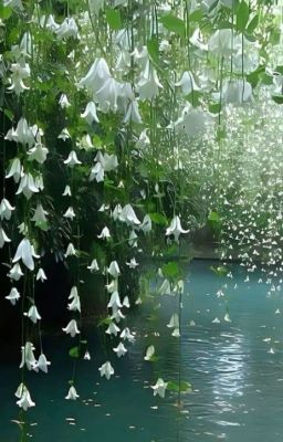 todobaku - inversiya.