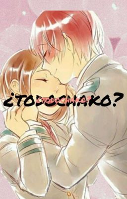 ¿Todochako? || Ship Book