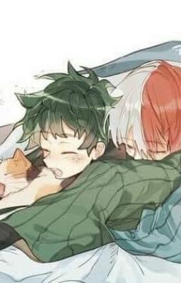 (TodoDeku) Ngày này, tháng nọ, năm kia