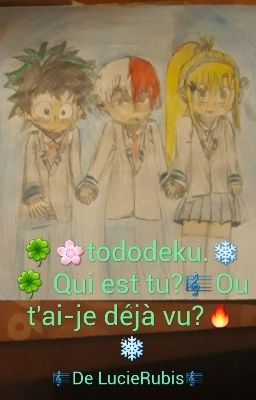 🍀🌸tododeku.❄🍀 Qui est tu?🎼Ou t'ai-je déjà vu?🔥❄