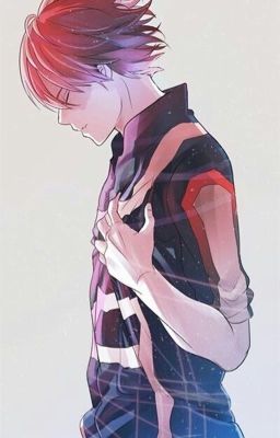 Todoroki Shoto x Reader |Silent Voice|