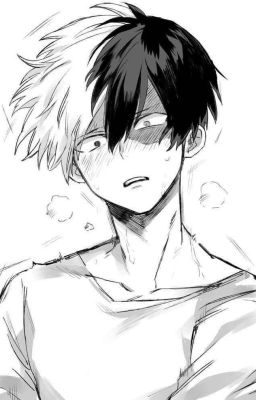 (Todoroki Shoto x reader) Yêu anh 