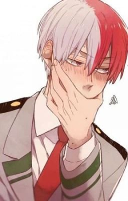 Todoroki x Reader