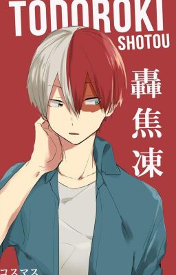 Todoroki x reader