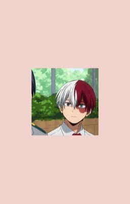 [todoroki x reader] chị