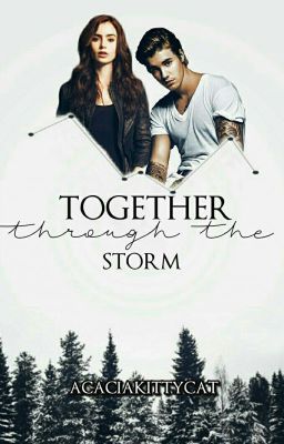 Together Through The Storm •jb