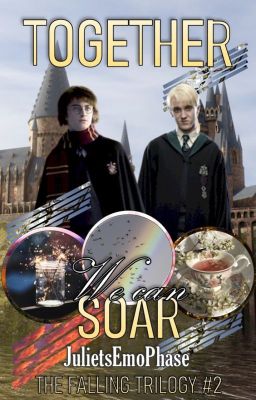 Together, We Can Soar (A Drarry FanFiction/