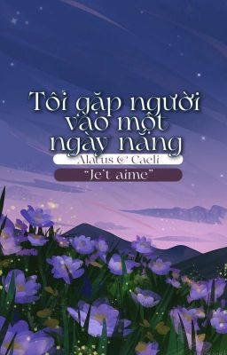 Tôi gặp người vào một ngày nắng