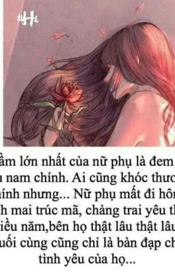 Tôi không phải nữ chính