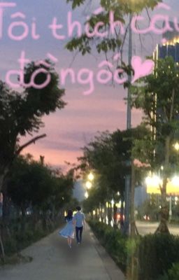 Tôi thích cậu, đồ ngốc 