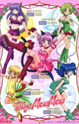 TOKYO MEW MEW (WHATSAPP)