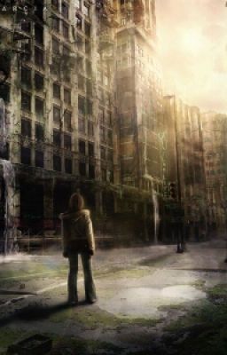 Tokyo zero