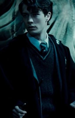 Tom ơi em ở đây!!