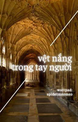 [Tom Riddle] - Vệt nắng trong tay người