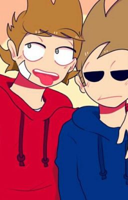 tom x tord