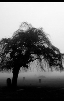 Tombstone Confessions