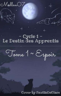 Tome 1: Espoir, Cycle 1: Le Destin Des Apprentis 