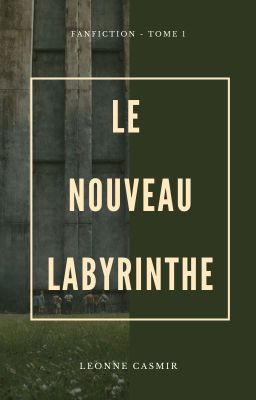 TOME 1 - LE NOUVEAU LABYRINTHE (APRÈS LE REMÈDE MORTEL)