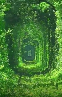 Tổng hợp oneshot