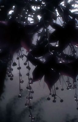 Tổng hợp Oneshot Forsaken