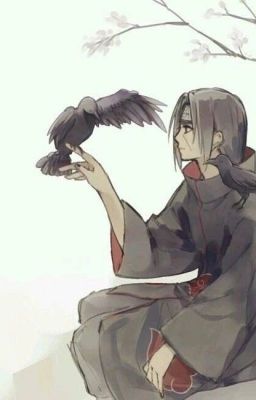 [Tổng] Itachi ca hôm nay cũng ở lấy lý phục người-Hàm Ngư Than Chủ