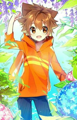 [Tống mạn] Sawada Tsunayoshi là âm dương sư