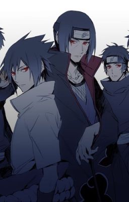 《[ tống ] nhiều xem xinh đẹp Uchiha 》