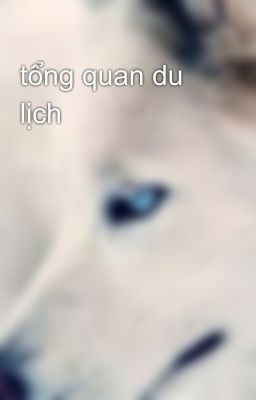 tổng quan du lịch