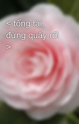 < tổng tài, đừng quấy rối >