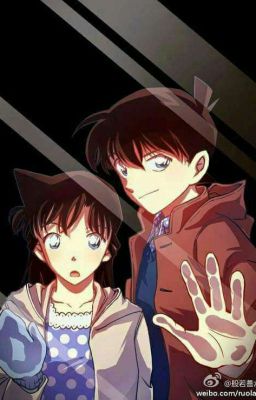 Tổng tài! Hãy sủng ái em đi( fan Shinran)