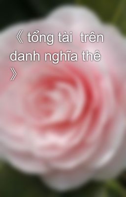 《 tổng tài  trên danh nghĩa thê 》