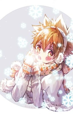 [ Tổng ] Tsunayoshi hỏng mất hằng ngày